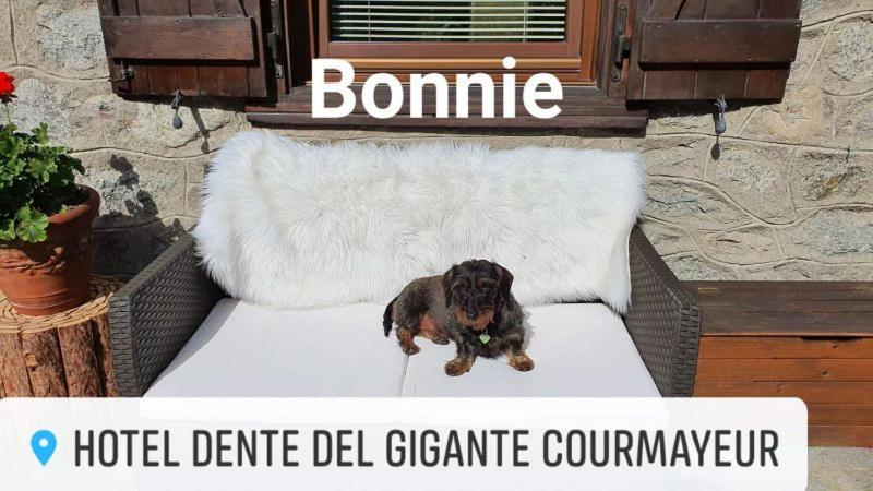 קורמאיור Hotel Dente Del Gigante מראה חיצוני תמונה